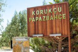 Korukçu Villaları Papazbahçe Karadut