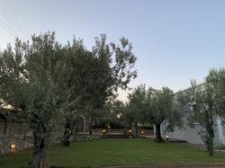 Zeytinli Bahçe Konuk Evi