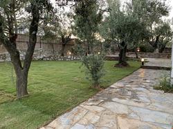 Zeytinli Bahçe Konuk Evi
