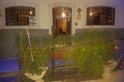 Fi Hostel