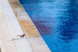 N Hotels Çeşme