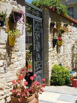 Griffon Boutique Hotel