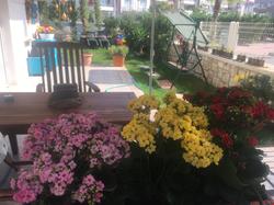 Soi Butik Otel