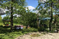 Kuscu Konak - Cafe Garden