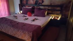 Lion Suites