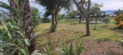 Green Life