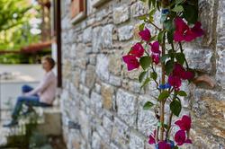 Alp Suites Lavanta