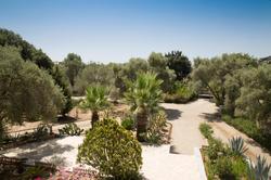 Bodrum Bitez BD445
