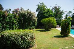 Bodrum Bitez BD437
