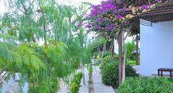 Milport Bodrum Hotel