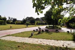 Villa Camille