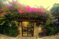 Villa Cosy