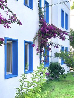 Yakamoz Otel Ortakent