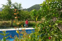 Sun Dalyan-Yeni Adet Organic Hotel