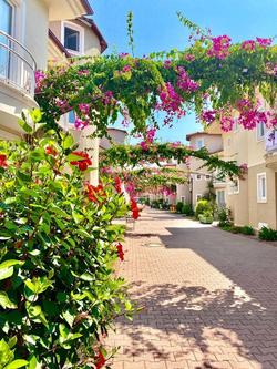 Apart Sunset Beach