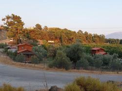 Olive Garden Bungalow