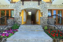 The Olive Tree Studios