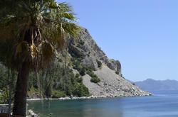 Pine Beach Turunç