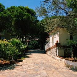 Pine Beach Turunç