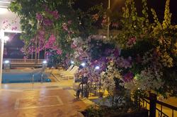 Selenya Apart Hotel