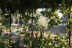 Martı Butik Otel