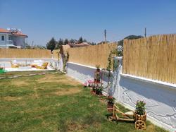 Sunny Garden