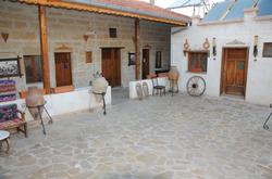 Bir Kedi Villa