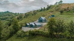 Woodlife Bungalov