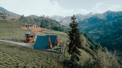 Mosa Bungalov