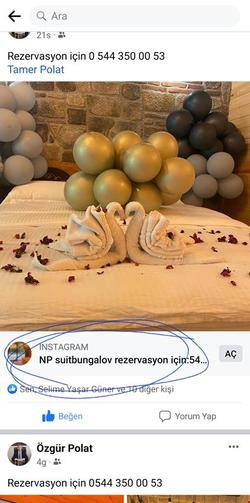 NP Suit Bungalov