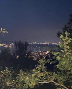 Forrest Hill