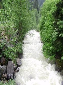Kayalar Pansi̇yon