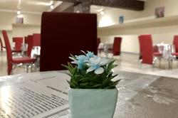 Hotel Fuat