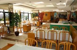 Alp