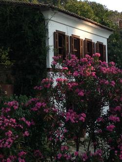 Terrace Houses Sirince - Fig; Olive & Grapevine