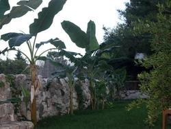 Arya Holiday Houses