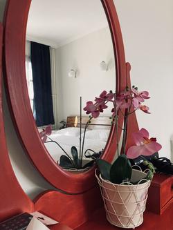 Hotel Erol