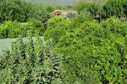 Deniz Pension