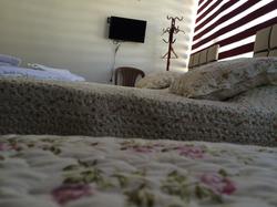 Aslan Guest House