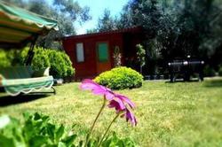 Assos Orchidee Bungalow
