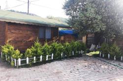 Crpdm Bungalow Hotel