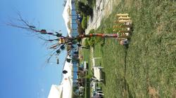 Ozgur Beach Camp