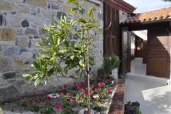Tas Avlu Butik Otel