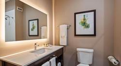 Holiday Inn Gonzales