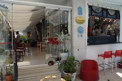 Cigdem Han Kemer