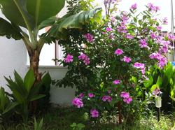 Flower Villa Apart
