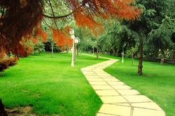 Yalçin Resort Hotel