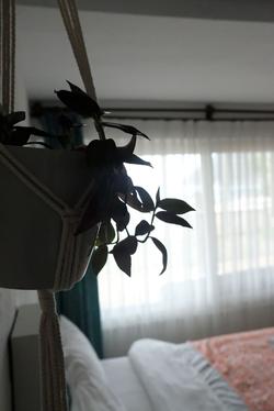Ceneviz Hotel
