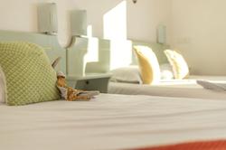Hotel Camille