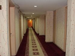 Hotel Orontes